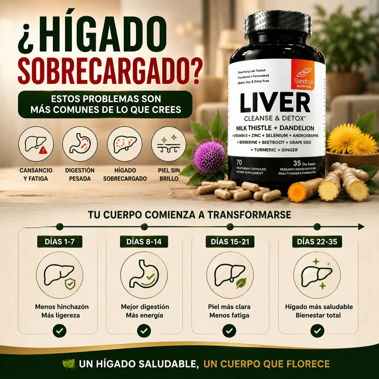 🌿 LIVER CLEAN™ – HÍGADO SANO + ENVÍO GRATIS📦